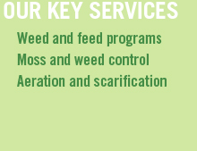 our key services